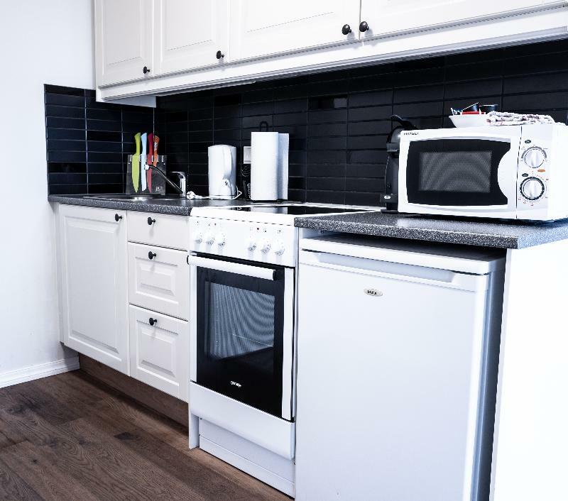 Ambassade Apartments レイキャヴィーク エクステリア 写真
