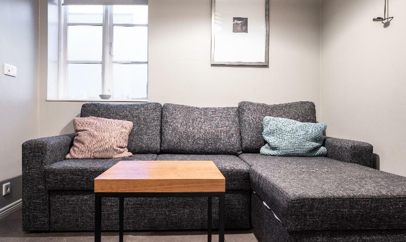 Ambassade Apartments レイキャヴィーク エクステリア 写真