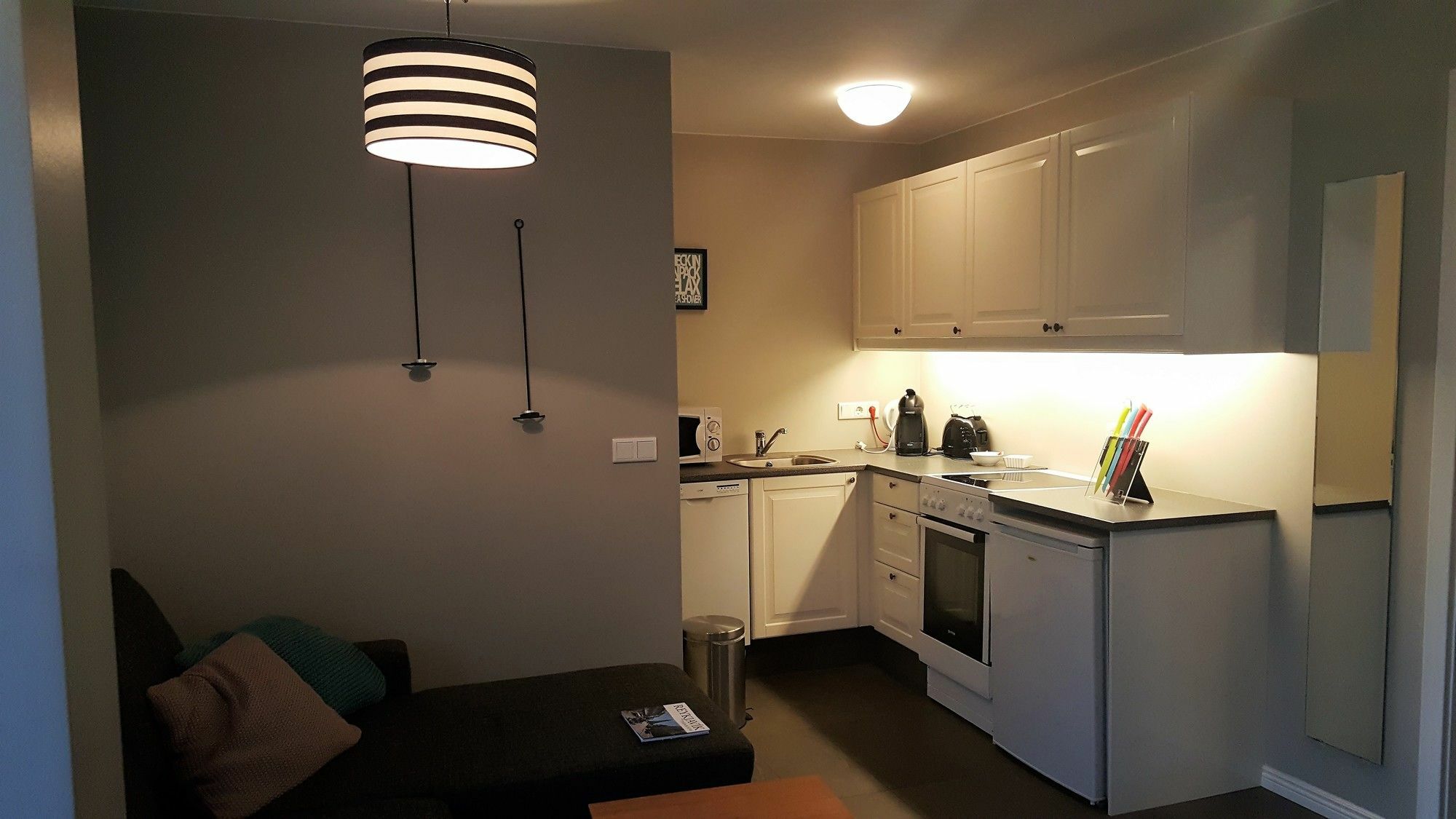 Ambassade Apartments レイキャヴィーク エクステリア 写真